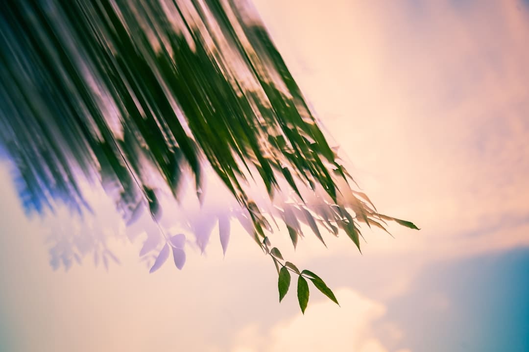 云霄县召开强降雨防范应对工作复盘会